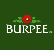Burpee on TicaToca